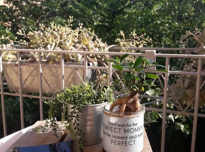 לינה וארוחת בוקר Casa Montanari 3*